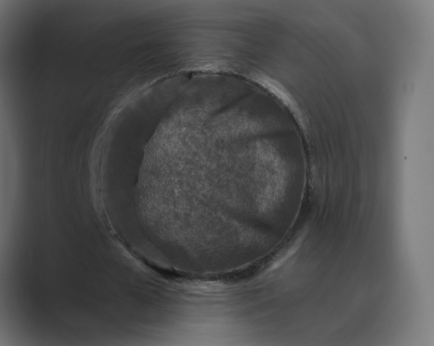 X0000089440577200706291427