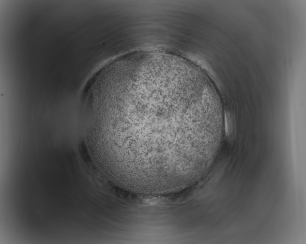 X0000089440579200706291427