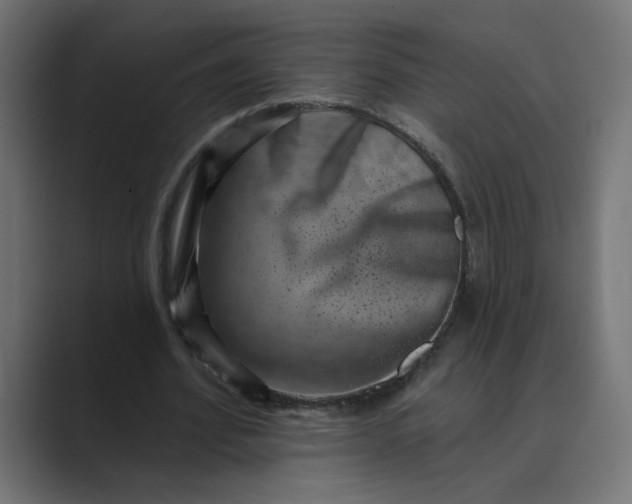 X0000089440580200706291426