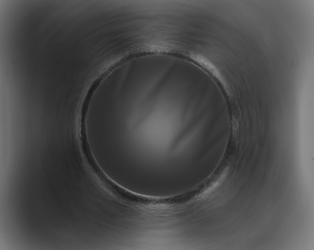 X0000089440581200706291426