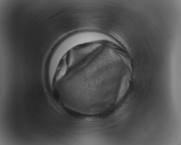 X0000089440584200706291426