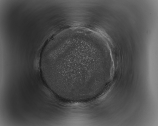 X0000089440585200706291426