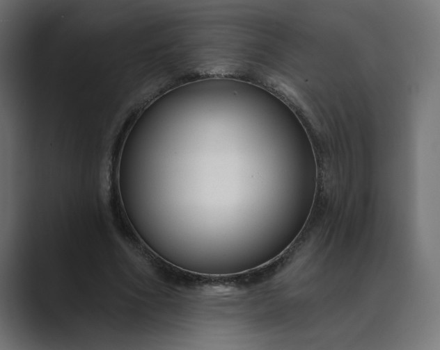 X0000089440586200706291426