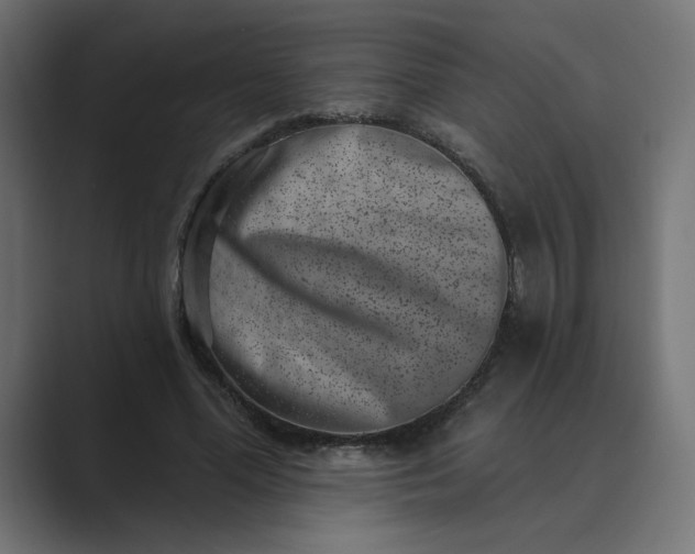 X0000089440588200706291426