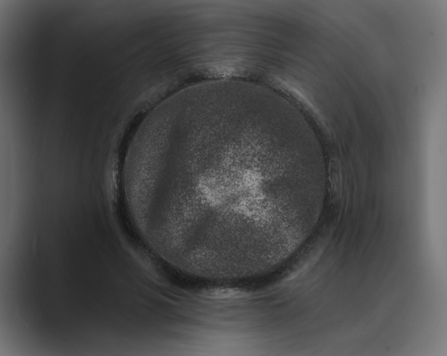 X0000089440590200706291426