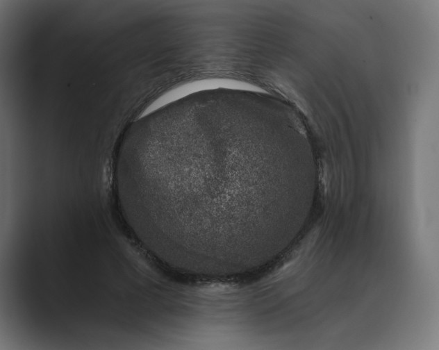 X0000089440593200706291426