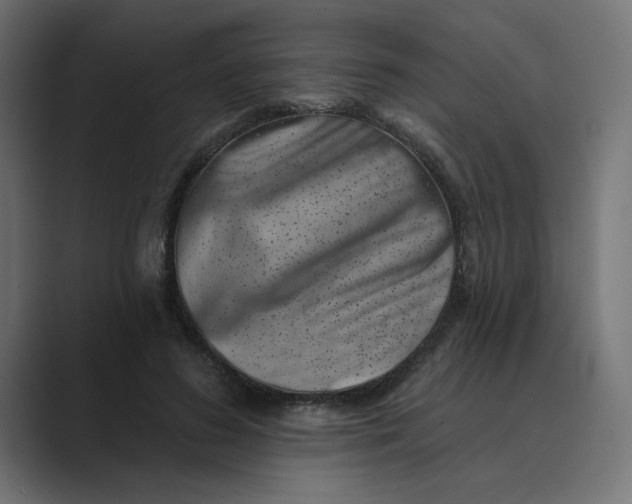 X0000089440596200706291426