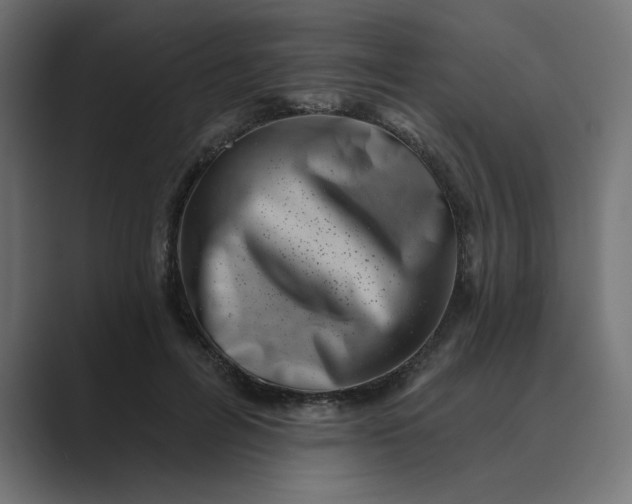 X0000089440600200706291426