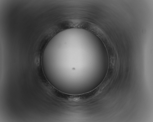 X0000089440602200706291426