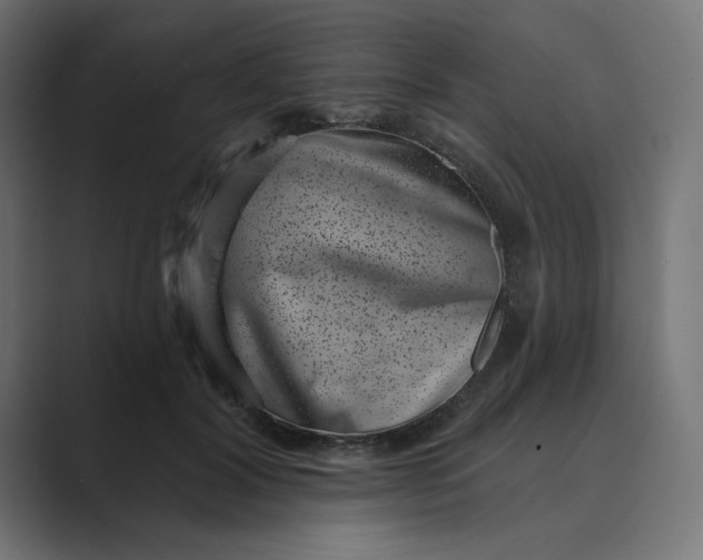 X0000089440604200706291426