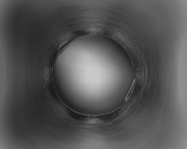 X0000089440605200706291426