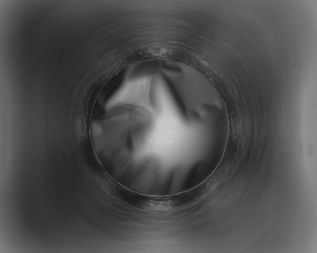 X0000089440606200706291426