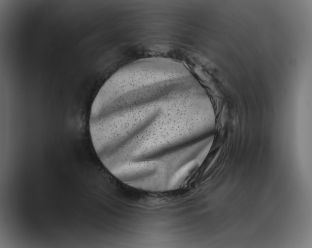 X0000089440608200706291426