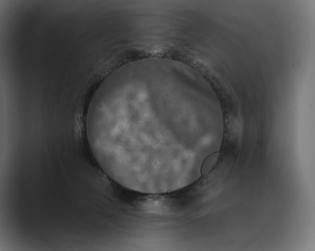 X0000089440612200706291426