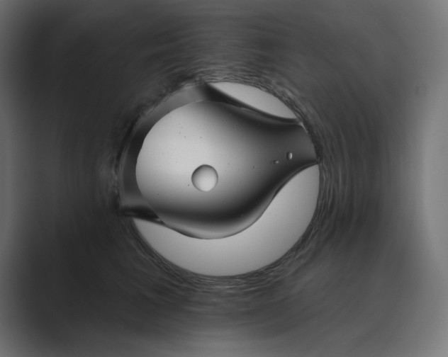 X0000089440613200706291426