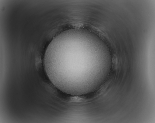 X0000089440614200706291426