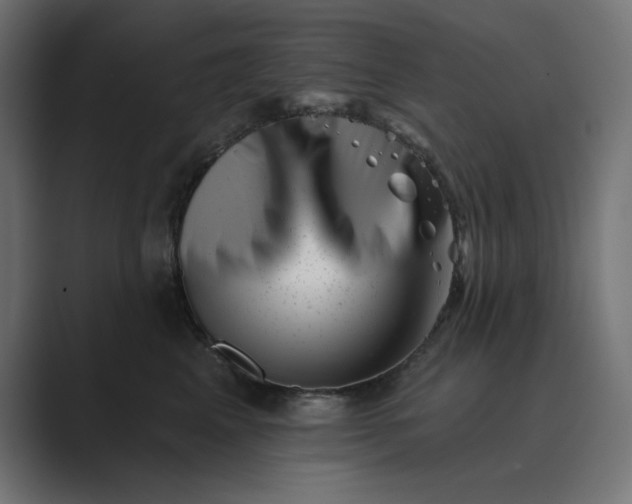 X0000089440617200706291426