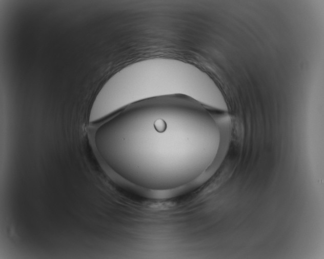 X0000089440621200706291426