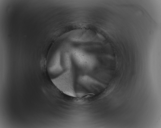 X0000089440624200706291426