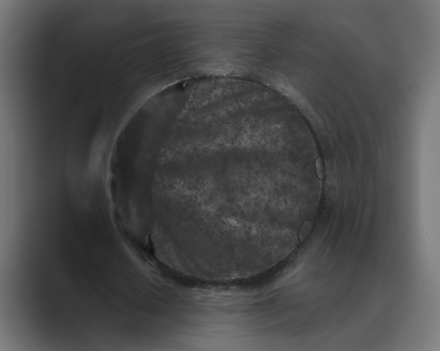 X0000089440626200706291425