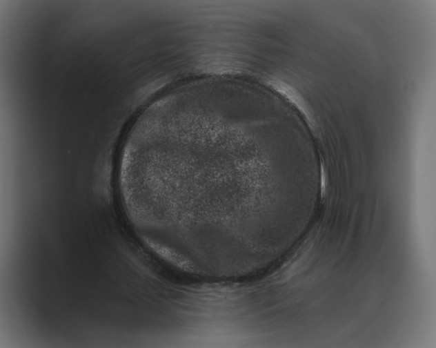 X0000089440627200706291425