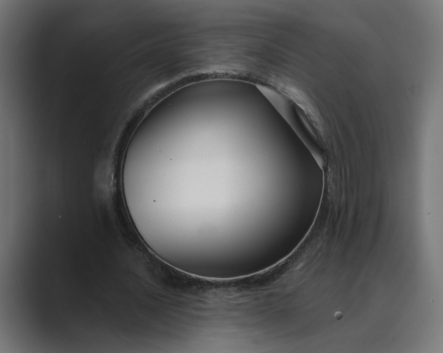 X0000089440628200706291425