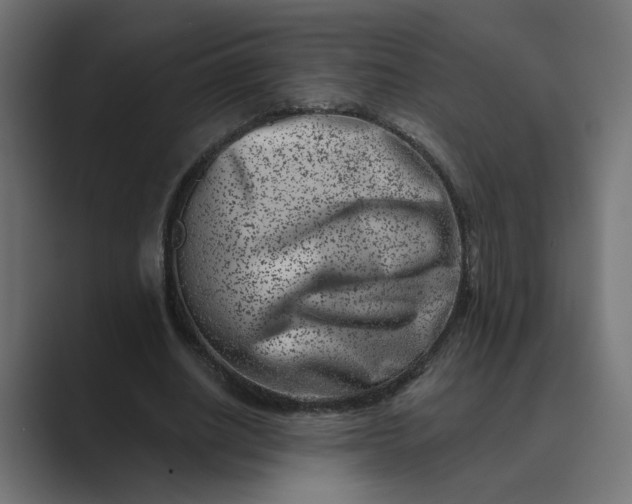 X0000089440630200706291425