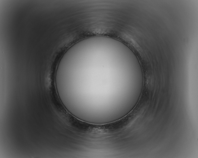 X0000089440635200706291426