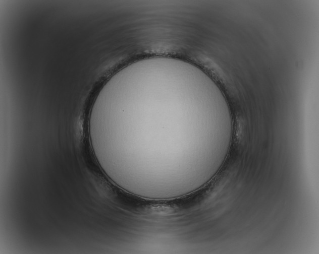 X0000089440636200706291426