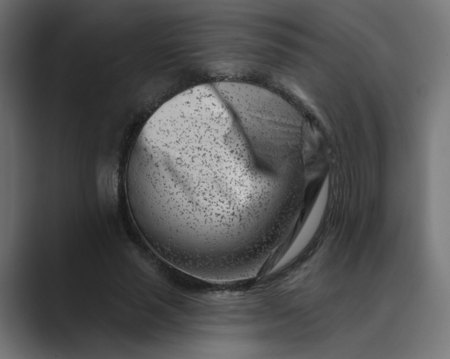 X0000089440637200706291426