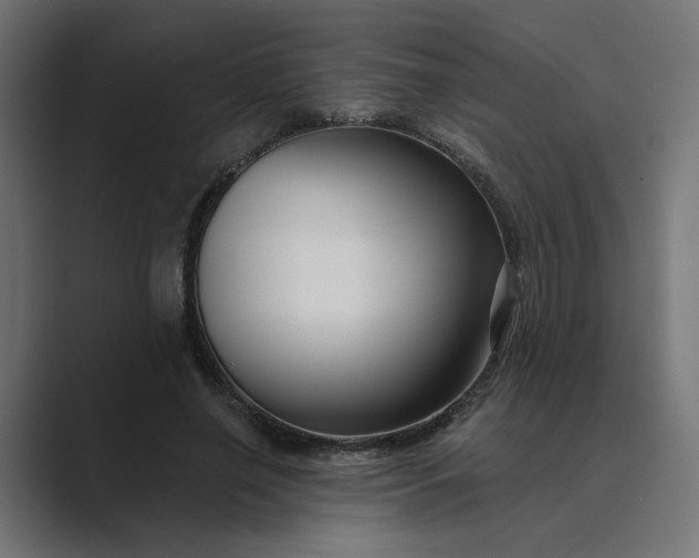 X0000089440638200706291426