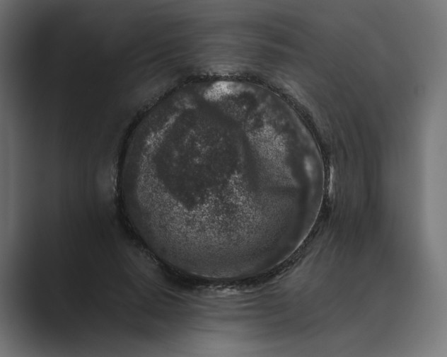 X0000089440640200706291426