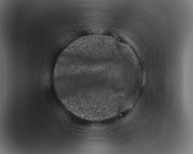 X0000089440641200706291426