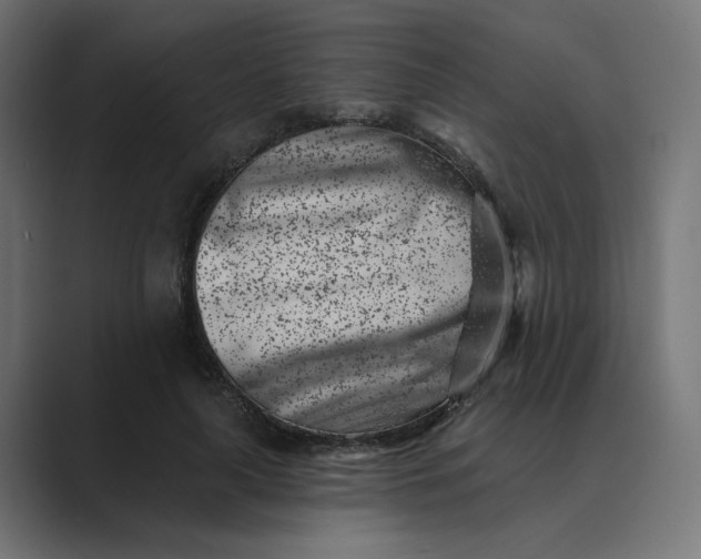 X0000089440643200706291426