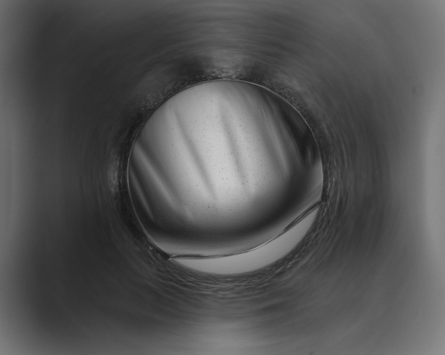 X0000089440647200706291426