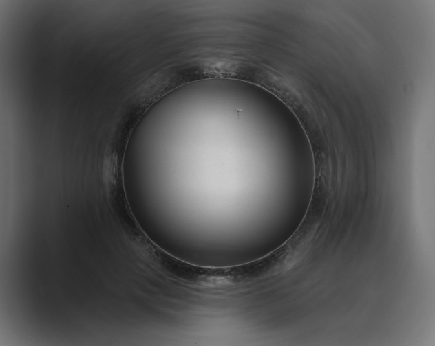 X0000089440649200706291426