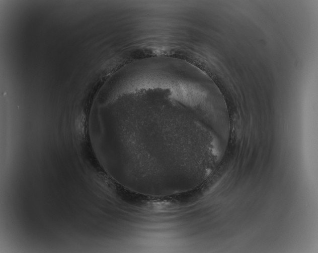 X0000089440650200706291426