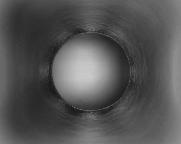 X0000089440652200706291426