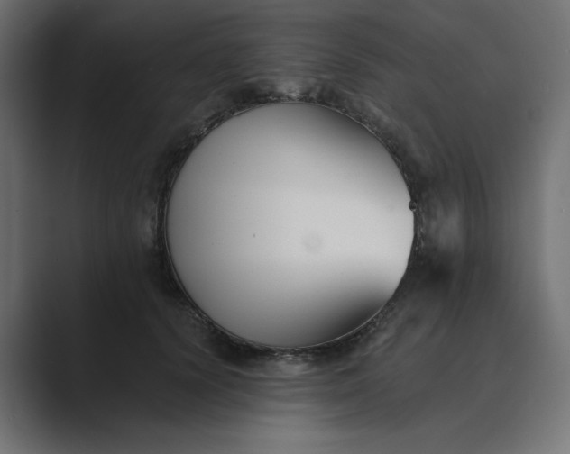 X0000089440656200706291426