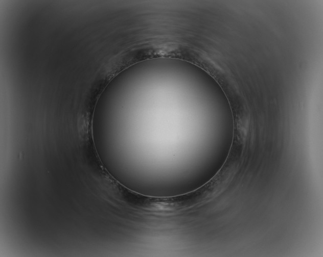 X0000089440657200706291426