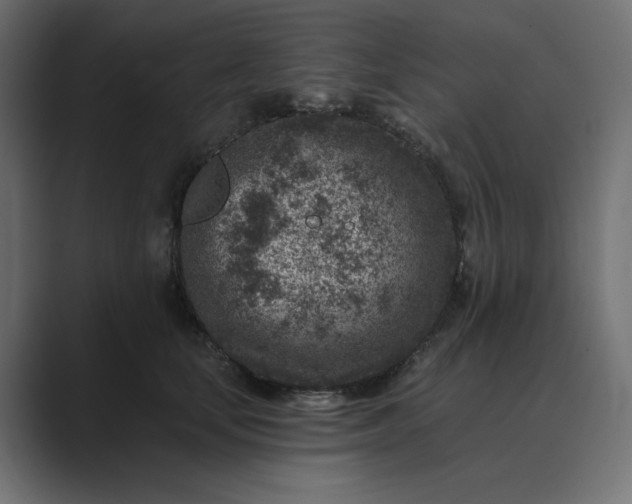 X0000089440659200706291426