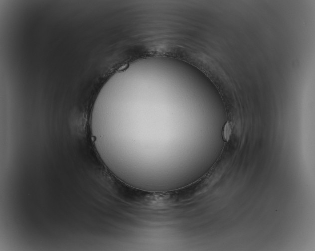 X0000089440660200706291426