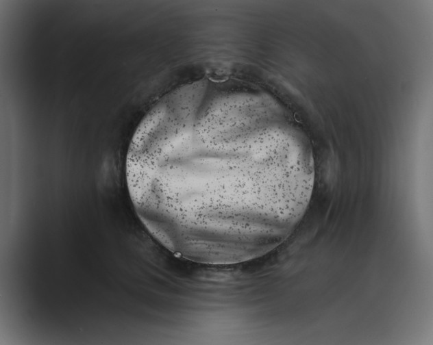 X0000089440661200706291426