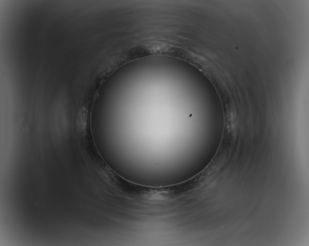 X0000089440664200706291426