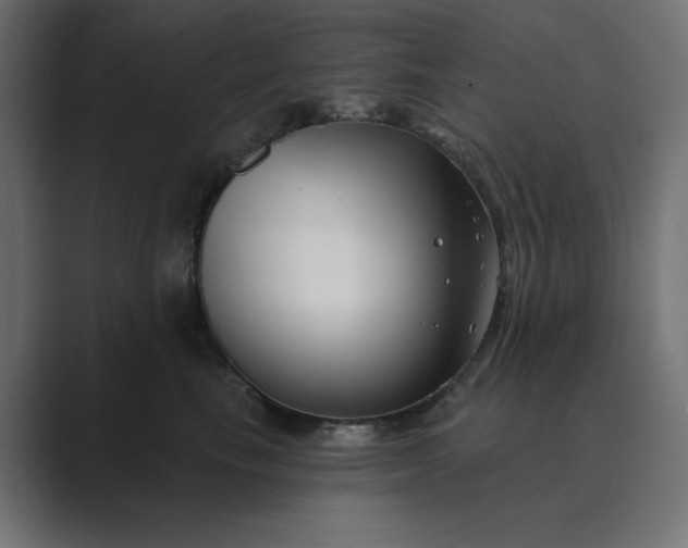 X0000089440665200706291426