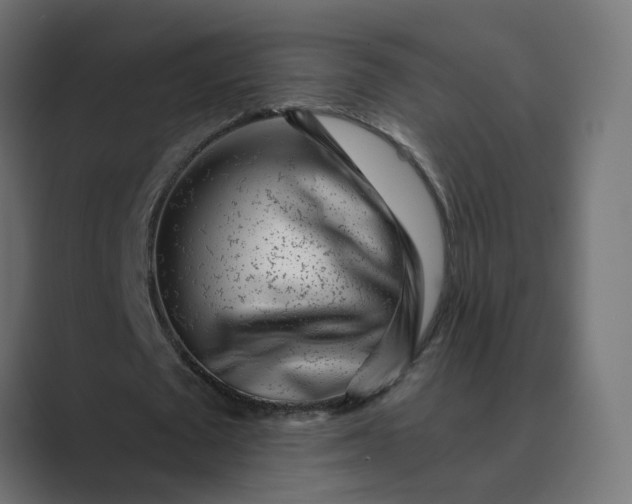 X0000089440673200706291425