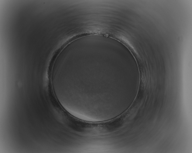 X0000089440674200706291425