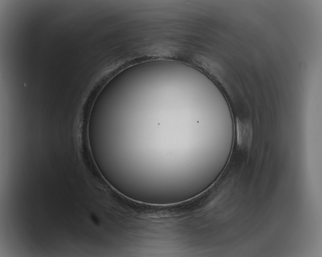 X0000089440675200706291425