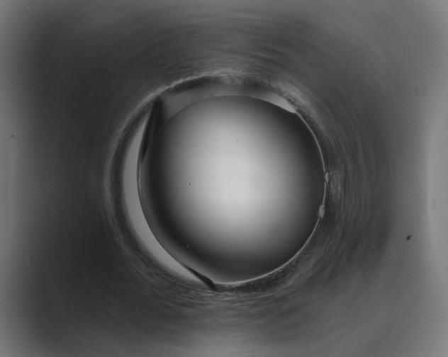 X0000089440676200706291425