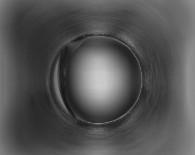 X0000089440677200706291425